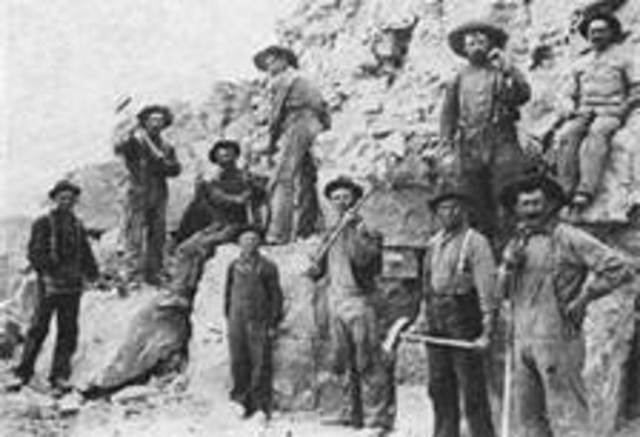 The Miners
