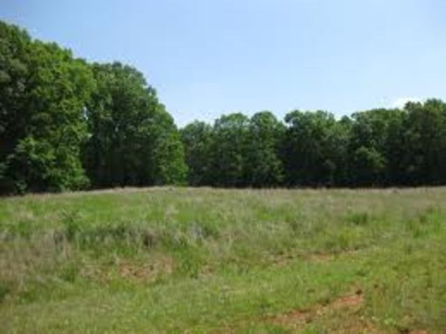 Finding my Land in The West