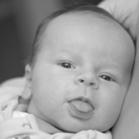 An American in the Family