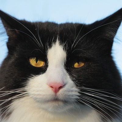 Timeline: Autobiography