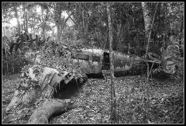 A  Group of british boys crash on an island