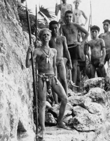 Shadows and Tall Trees