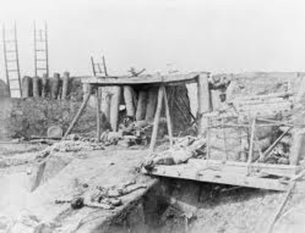 Reasons Why Moving to America