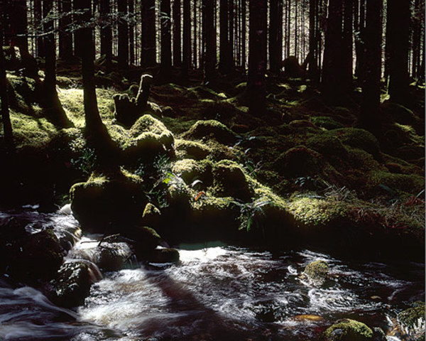 Christian reads book and finds out about his city's fate. ( Horton 347 )