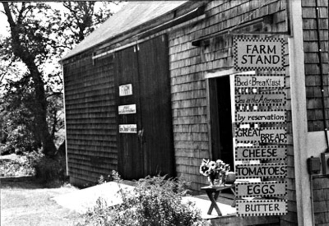 My Business was Established