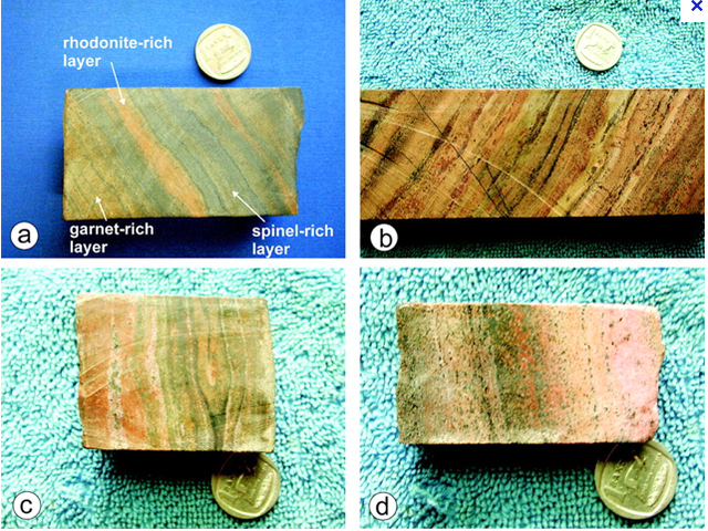 20,000 Rock species in South africa