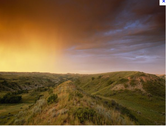 South africa grasslands.