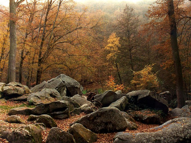 Pliable leaves Christian in Slough of Despond while Christian recieves help from Help.  ( Horton 350 )