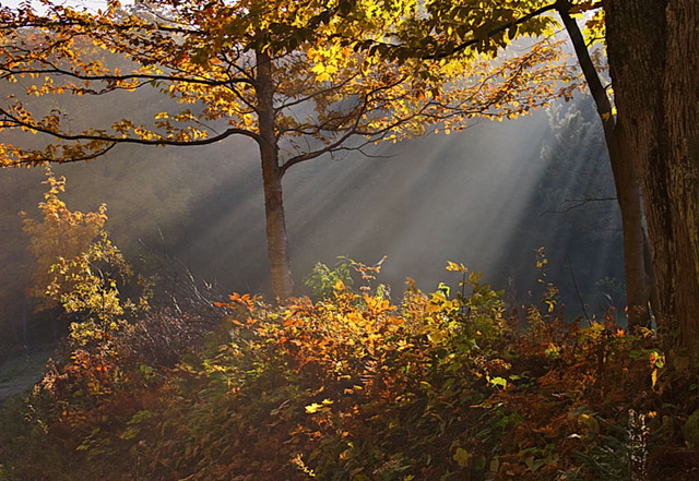 Evangelist puts Christian back on track. ( Horton 353, 354 )