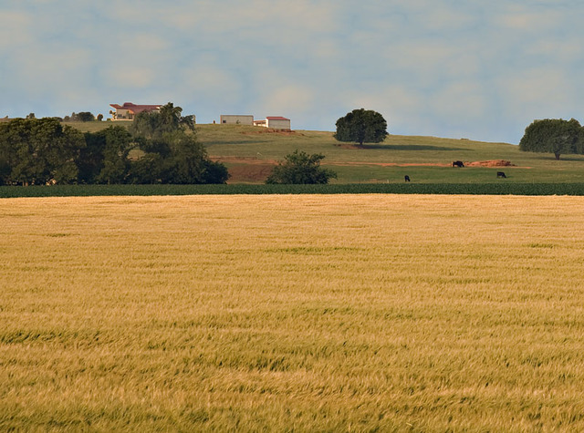 The End of My Journey