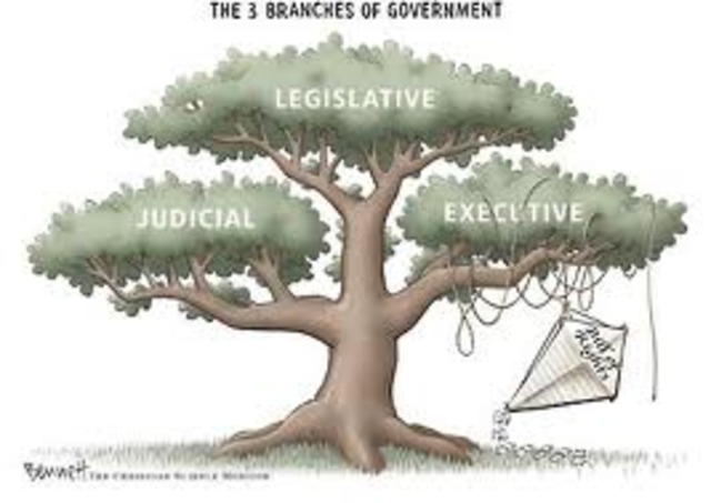 Thoughts on branches