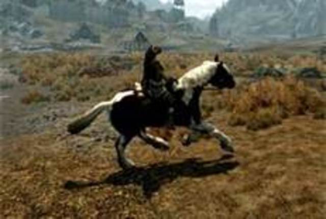 Stole my Brothers horse