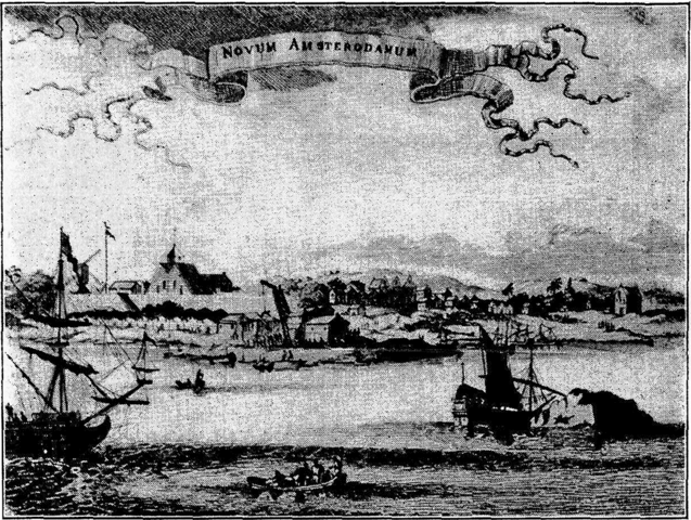 English take New Amsterdam