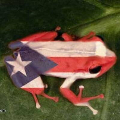 Timeline: Puerto Rico Language Policy Timeline