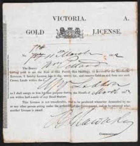 Gold License