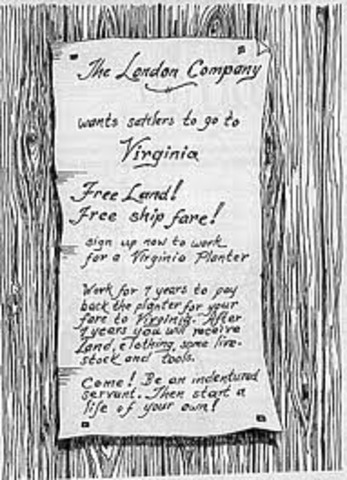 Indentured servents in the middle colonies