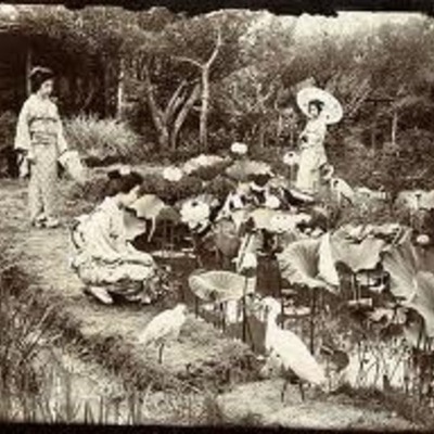 Timeline: Immigration Timeline