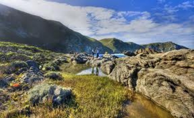 Immigration to the West