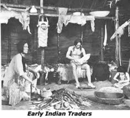 Fur trade in New Amsterdam