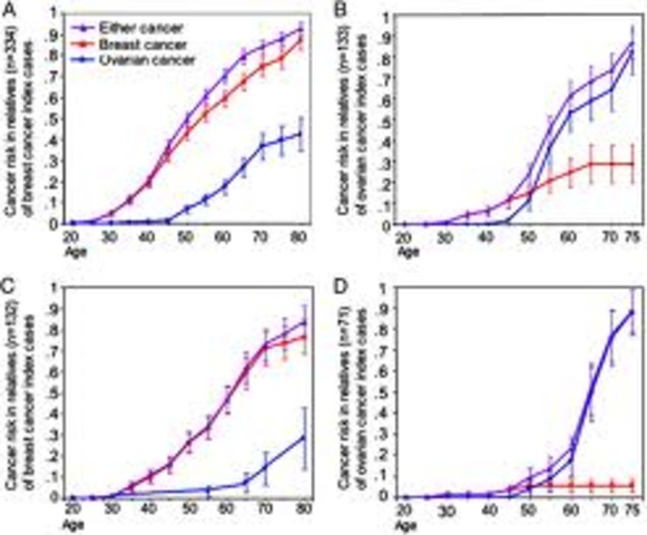 Breast Cancer, BRCA1 and BRCA2