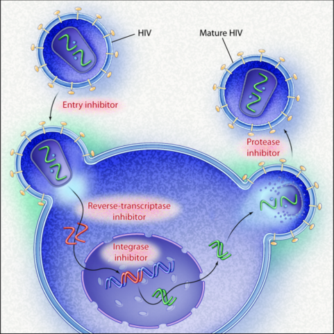 Progress in HIV Treatment