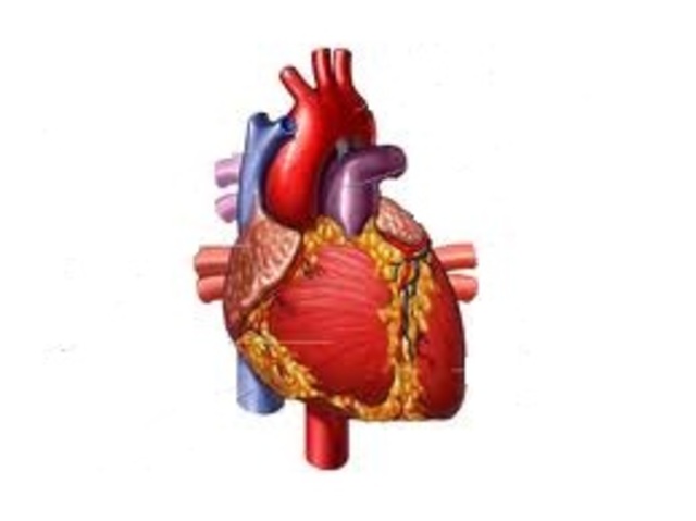 First human open heart surgery performed