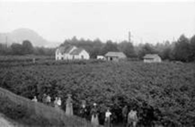 Bjorn Lives on His Own