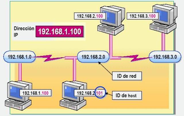 NUEVO PROTOCOLO - IP