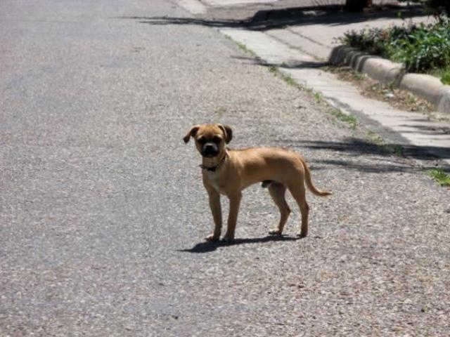 Alices Chance to Discover