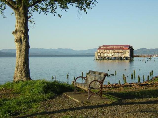 Reached the Pacific Coast and built Fort Clatsop near present day Astoria, Oregon