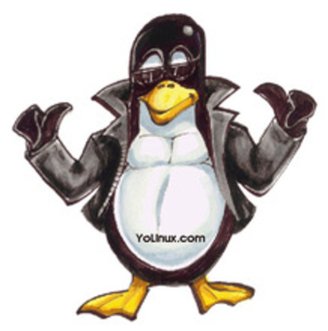 Nace LINUX