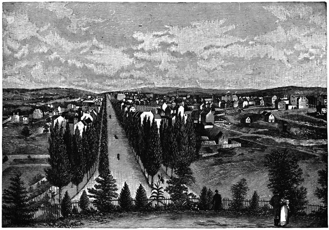 I made it to Washington! The first thing I did is buy myself 15 acres of land and 3 more horses. I only have 5 more gold coins but I hope it will be enough before I can make my own money.