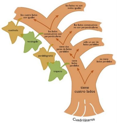 Propuesta de Snelbecker