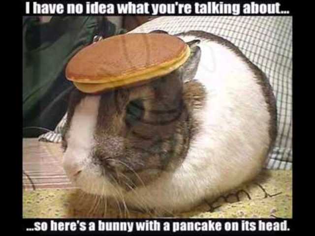 Albany Plan of Union