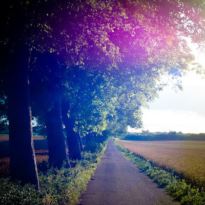 Timeline: The Road of Freedom