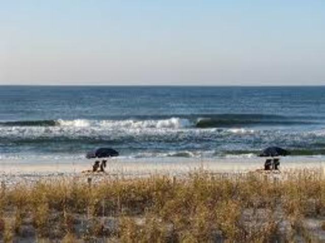 Family moves to Florida