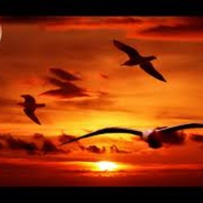 Timeline: proyecto de vida