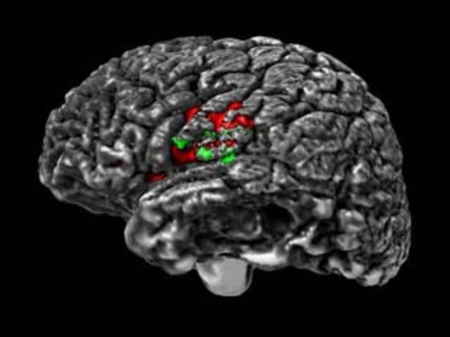 PERIODO CLASICO 1861-1945