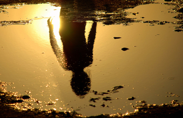 Beast From the Water