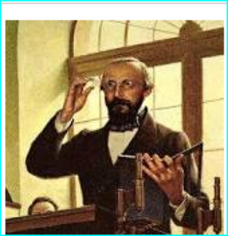 rudolf virchow