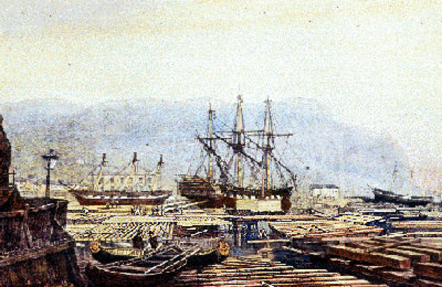 TImber becomes the primary export of canada