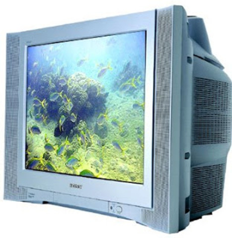 PRIMERA PANTALLA PLANA