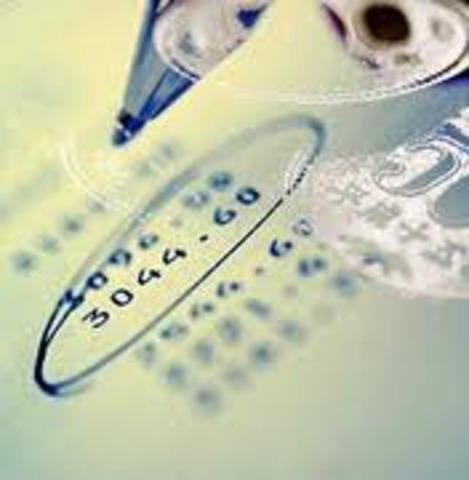 hacer un estudio economico