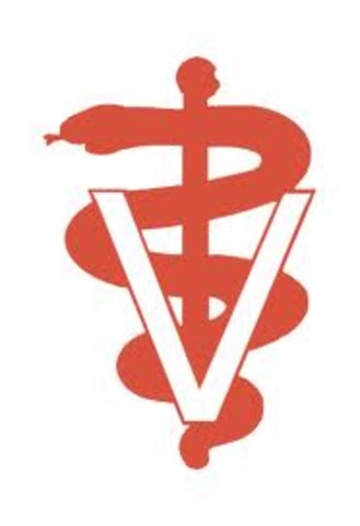 Yo recibé un trabajo en VES