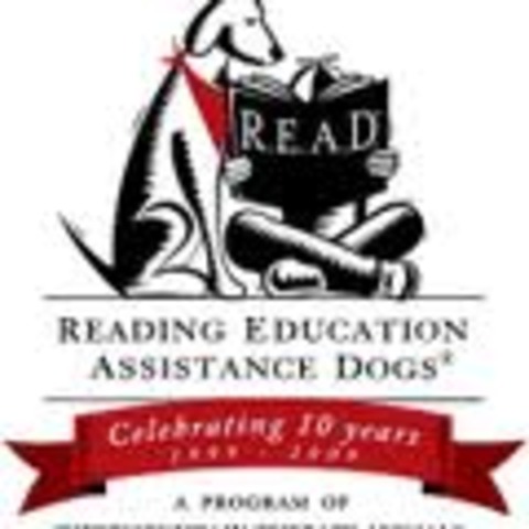 Yo me uní Dogs on Call