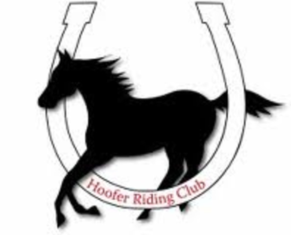 Yo me poní un "counselor in training"