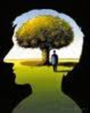 TEORÍA COGNITIVISTA