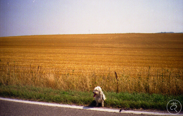 First walking day ever.