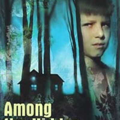 Timeline: Among the Hidden Timeline