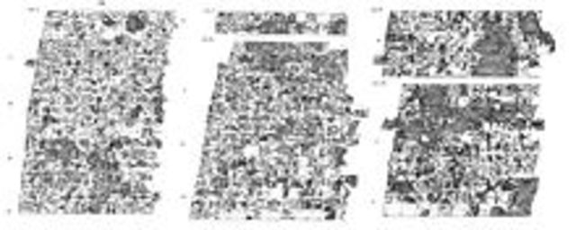 Eriba-Marduk 769 a.C